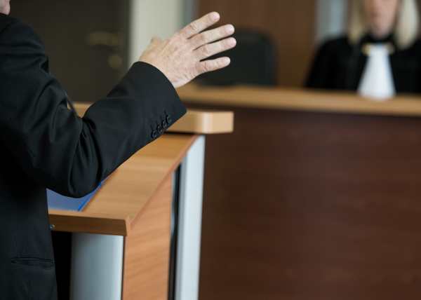 what are expert witnesses